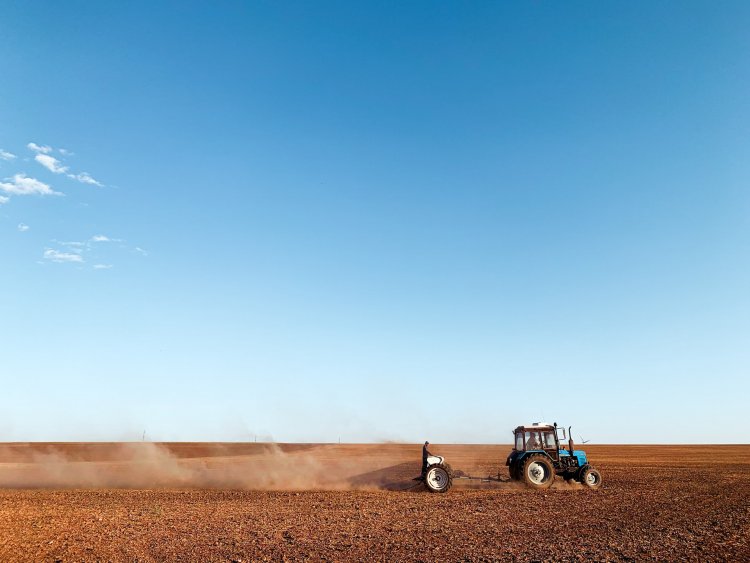El 82% del mundo recibe productos agroindustriales argentinos
