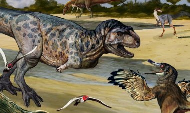 Descubrieron una nueva especie de dinosaurio depredador en Neuquén
