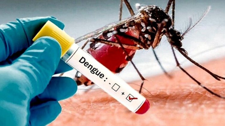 LA ANMAT APROBÓ USO DE VACUNA JAPONESA CONTRA EL DENGUE