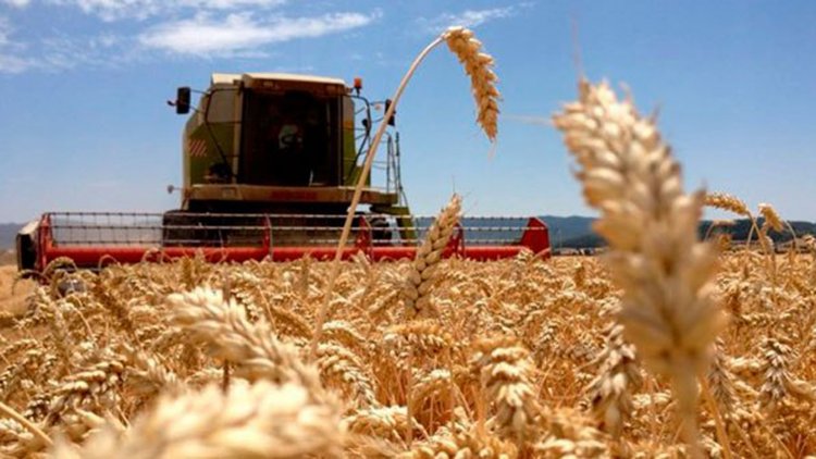 POR LA CRISIS PRODUCTORES  ARGENTINOS APUESTAN A CAMPOS EXTRANJEROS