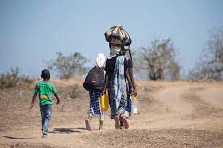 MOZAMBIQUE: LA GUERRA OLVIDADA.  Miles de muertos y desplazados por la acción de un grupo yihadista.