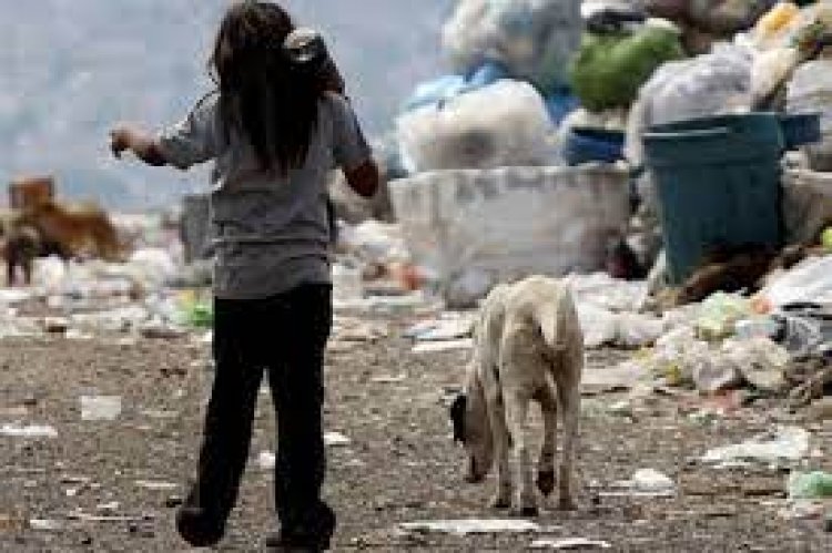 SEGÚN LA UCA EL 55% DE LOS ARGENTINOS ES POBRE Y EL 20% INDIGENTE.  En el conurbano bonaerense las cifras son mayores aún.