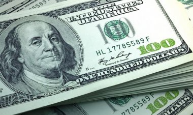 CUÁLES SON LAS MARCAS QUE LLEGAN AL PAÍS? POR QUÉ?