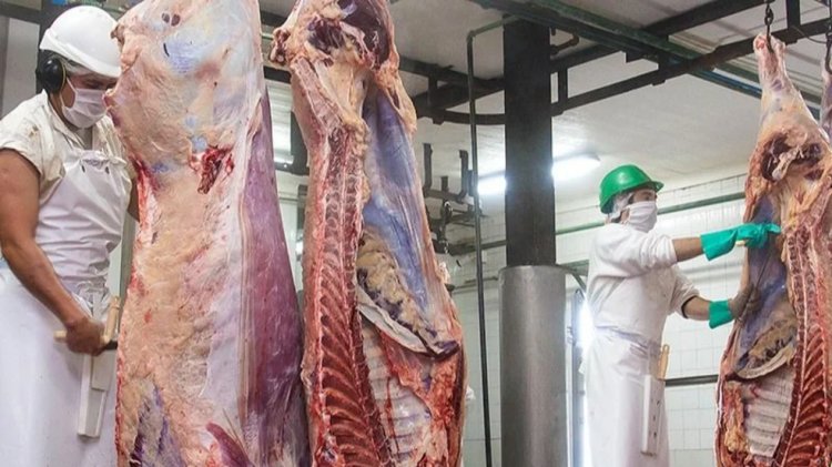 EXPORTACIONES DE CARNE CRECIERON UN 23% EN AGOSTO