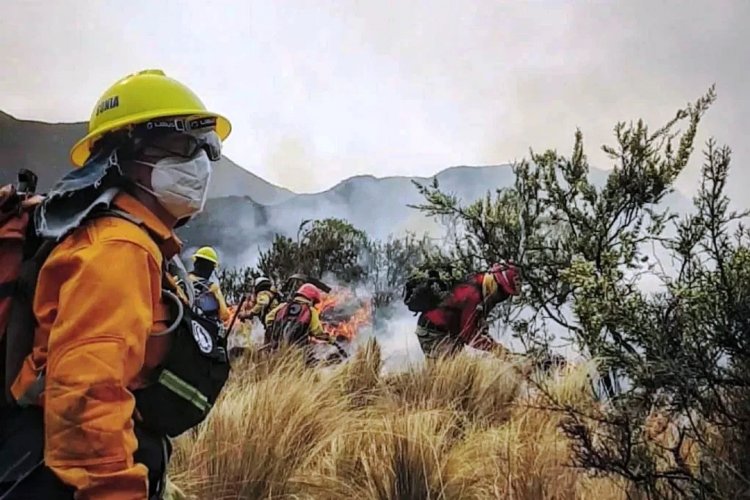 CÓRDOBA:  DECLARARON LA  EMERGENCIA AMBIENTAL