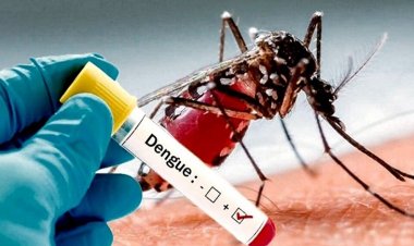 BRASIL: DESARROLLAN NUEVA VACUNA CONTRA EL DENGUE MÁS  EFECTIVA Y BARATA