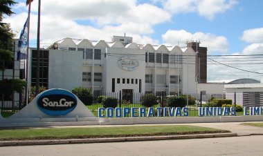 CUATRO GIGANTES AGROALIMENTARIAS PRESENTAN CONCURSO DE ACREEDORES