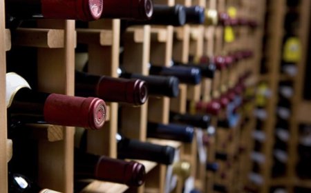 DIEZ VINOS DE LA PATAGONIA PARA TENER EN CUENTA