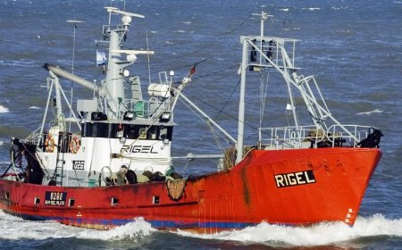 FUERTE CRISIS  EN LA ACTIVIDAD PESQUERA NACIONAL