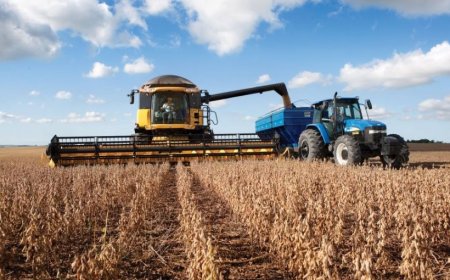 MEJORAN PERSPECTIVAS PARA PRODUCTORES DE SOJA Y MAÍZ