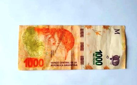 CÓMO ES EL BILLETE DE $ 1.000 QUE POR UN ERROR MULTIPLICA SU VALOR