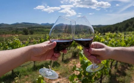 EN EL DÍA DEL MALBEC :  10 VINOS QUE  HAY QUE PROBAR
