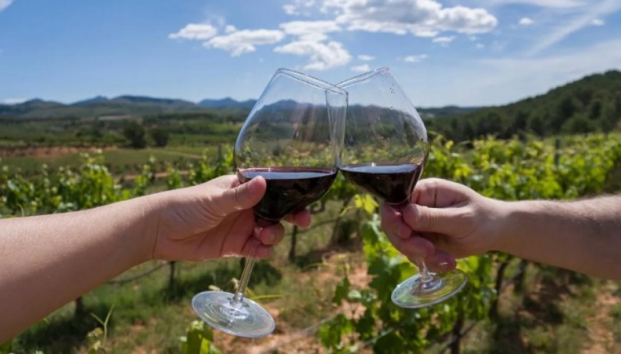 EN EL DÍA DEL MALBEC :  10 VINOS QUE  HAY QUE PROBAR