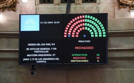 EL SENADO RECHAZÓ FICHA LIMPIA. los misioneros Arce y Rojas Decut votaron junto al kirchnerismo.