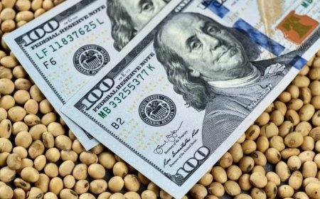 LA AGROINDUSTRIA APORTÓ EL 92% DE LAS DIVISAS NETAS QUE INGRESARON AL PAÍS  EN LOS ÚLTIMOS CINCO AÑOS