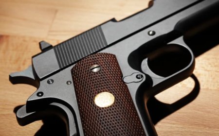 “TENENCIA EXPRESS” EL TRÁMITE DIGITAL  PARA LA POSESIÓN DE ARMAS