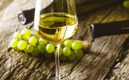 DÍA DEL VINO CHARDONNAY .Diez ejemplares de gran calidad y sus precios