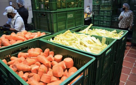 PROPONEN UNA LEY PARA EVITAR EL DESPERDICIO DE COMIDA