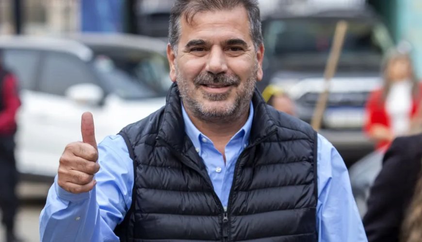 AMARILLOS PUROS  O VIOLETAS CLARITO ?