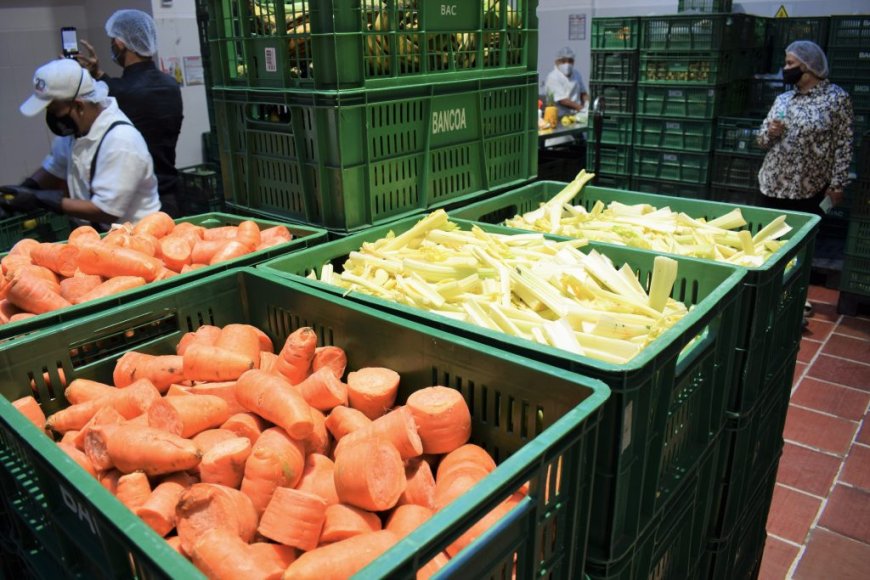 PROPONEN UNA LEY PARA EVITAR EL DESPERDICIO DE COMIDA