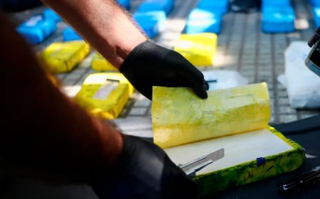 ADVIERTEN DE LA PRESENCIA DE DOS CARTELES NARCO MEXICANOS EN EL PAÍS