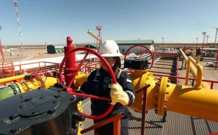 HISTÓRICO: UN ÁREA DE VACA MUERTA PRODUCE MÁS PETROLEO QUE TODOS LOS YACIMIENTOS DE BOLIVIA