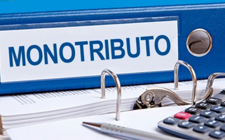 EL GOBIERNO CONFIRMÓ NUEVOS TOPES PARA EL MONOTRIBUTO