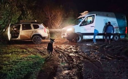 MAR DEL SUD:  CUANDO LA DESIDIA MATA