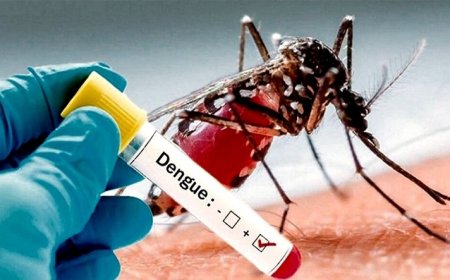 DENGUE : RECOMIENDAN VACUNARSE EN INVIERNO PARA ESTAR INMUNIZADO  ANTES DEL VERANO
