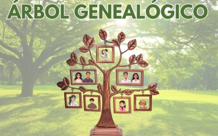 UNA PÁGINA WEB PERMITE RECONSTRUIR EL ÁRBOL GENEALÓGICO