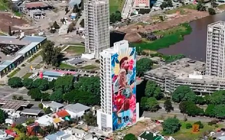 DE PINTAR EL MURAL MÁS GRANDE DE MESSI A SER CONDENADO POR ABUSO SEXUAL