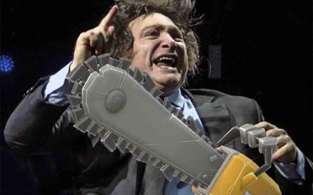 EL GOBIERNO ACELERA PRIVATIZACIONES  CON UNA PLATFORMA DIGITAL