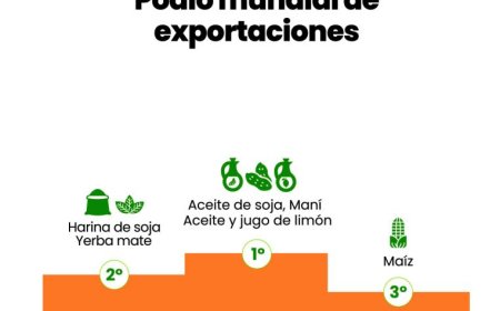 ARGENTINA ES EL PRIMER EXPORTADOR MUNDIAL  DE MANÍ, ACEITE DE SOJA Y JUGO DE LIMÓN