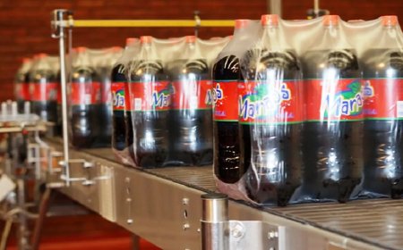 MANAOS: SIGUE EL JUICIO POR DESPIDO QUE PREVÉ UNA INDEMNIZACIÓN DE $ 1.500 MILLONES