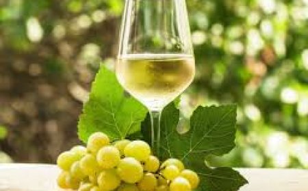 CÓMO ENFRIAR UNA BOTELLA DE VINO SIN RIESGOS  NI PERDER PERDER CALIDAD