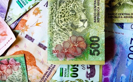 PARA EL FINANCIAL TIMES LA POLÍTICA CAMBIARIA ARGENTINA ES “INSOSTENIBLE”