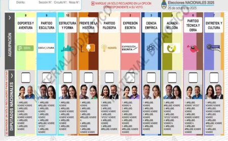 BOLETA ÚNICA DE PAPEL: QUÉ PASOS SEGUIR SI SE COMETE UN ERROR AL VOTAR