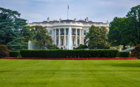 ACUERDO CON EE.UU : LOS PRINCIPALES PRODUCTOS QUE ARGENTINA EXPORTA Y QUÉ BIENES IMPORTA