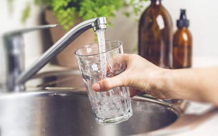 PIDEN  INFORMES SOBRE LA PRESENCIA DE ARSÉNICO EN EL AGUA DE MIRAMAR