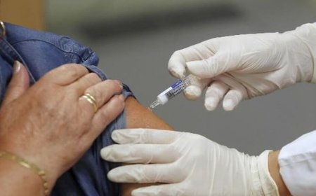 GRIPE K H3N2: QUIÉNES DEBEN VACUNARSE Y CUÁNDO SE ESPERA EL VIRUS EN SUDAMÉRICA