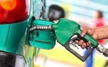 RANKING DEL PRECIO DE LA NAFTA: QUÉ PROVINCIAS SON LAS MÁS CARAS A LA HORA DE LLENAR EL TANQUE