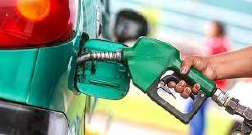 RANKING DEL PRECIO DE LA NAFTA: QUÉ PROVINCIAS SON LAS MÁS CARAS A LA HORA DE LLENAR EL TANQUE