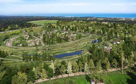 CHAPADMALAL: BODEGAS LÓPEZ INVIERTE EN PROYECTO INMOBILIARIO