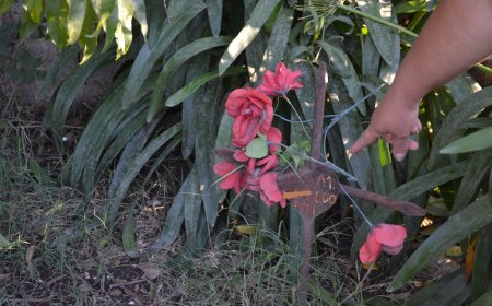 OTAMENDI:  POR FALTA DE PAGO TIRARON LOS RESTOS DE SU HIJO EN UNA CAVA. Ocurrió hace cinco años. La familia espera una respuesta oficial.