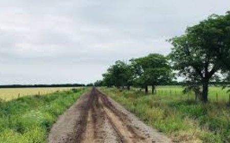 BREVES DE LA REGIÓN