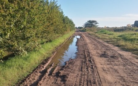 PBA: FALLO JUDICIAL FRENA COBRO DE TASAS A PRODUCTORES.  Posible lluvia de reclamos.