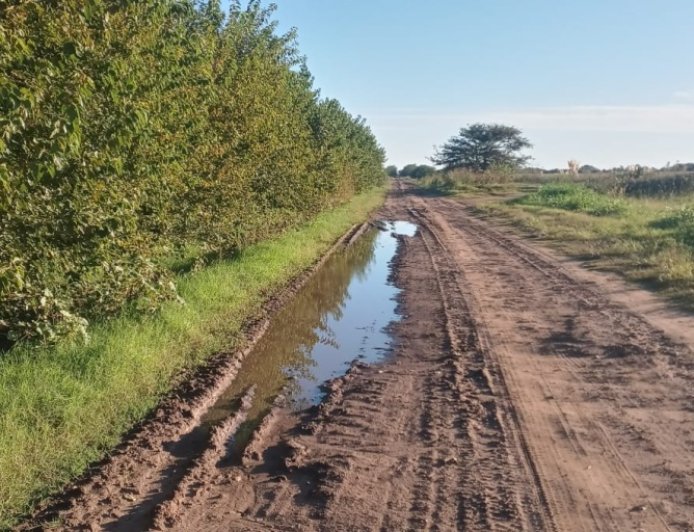 PBA: FALLO JUDICIAL FRENA COBRO DE TASAS A PRODUCTORES.  Posible lluvia de reclamos.
