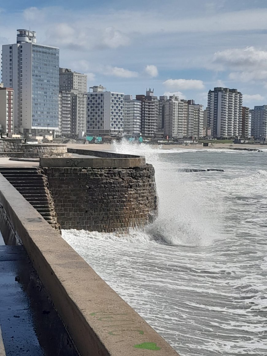 MIRAMAR: QUIEREN  DAR DE BAJA EL INSTITUTO MIXTO DE TURISMO