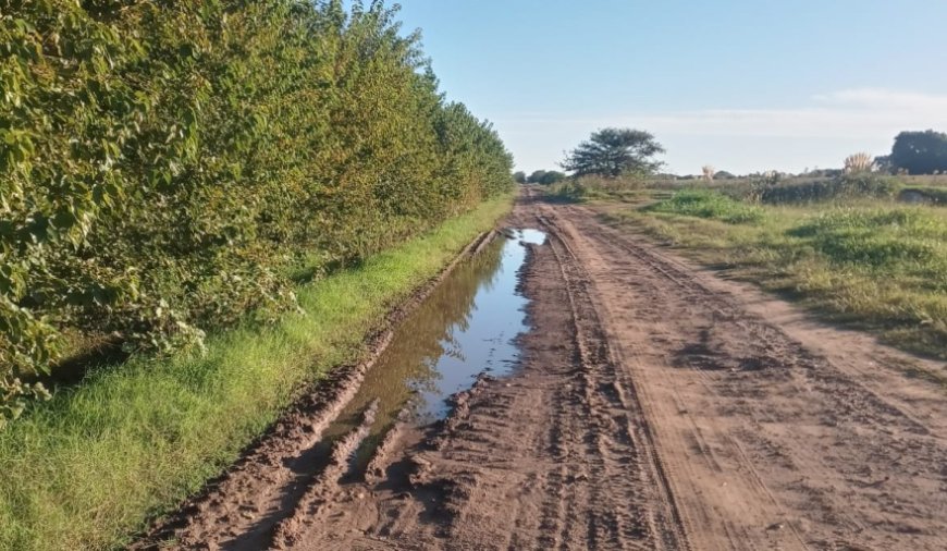 PBA: FALLO JUDICIAL FRENA COBRO DE TASAS A PRODUCTORES.  Posible lluvia de reclamos.