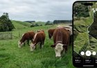 LANZAN UNA STARTUP QUE REVOLUCIONA EL CAMPO. Alambrados virtuales y manejo de vacas por celular.